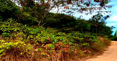 Terreno em Conde/PB com 3000m² - Desocupado