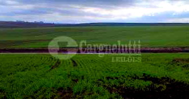 Fração de terras de campos e matos, 866.600m²