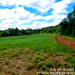 3 Terrenos Rurais em Seberi - RS, Total 323.611,12m²