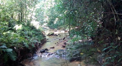 Fazenda Santa Fé com 214,634ha em Padre Bernardo-GO