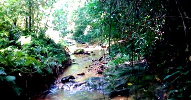 Fazenda Santa Fé com 214,634ha em Padre Bernardo-GO