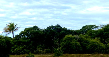 Terreno de 300m² em Loteamento à Venda em Leilão