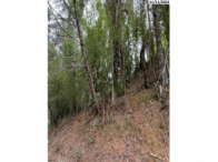 Parte ideal 50% terreno 1050m² sem edificação
