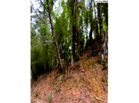 Parte ideal 50% terreno 1050m² sem edificação