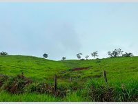 Terreno Rural de 12,32 ha em Alta Floresta D'Oeste - RO