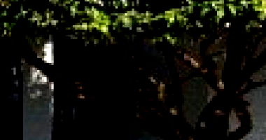 Casa em Fernandópolis com 48,37m² de área construída