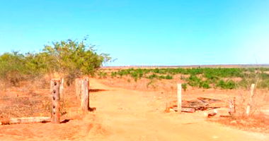 Fazenda Cana Brava com 597,37ha em São João da Ponte/MG