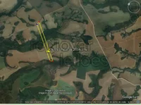 Área Rural de 16,39 ha em Capão do Cipó - Ideal para Investimento