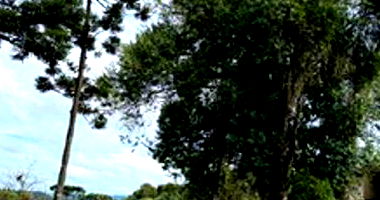 Terreno Urbano em Mafra/SC com 450m²