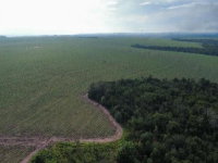 Fazenda 100.73 ha em Mineiros - GO