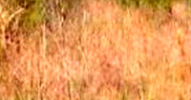 Terreno 711 m² em Nova Petrópolis - RS