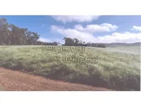Área Rural de 3 Hectares em Tiradentes do Sul - RS
