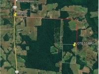 Área Rural com 103,12ha em Vilhena/RO, ocupada