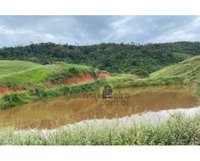 Fazenda com 90,4177ha, 0 quartos, 0 banheiros, área construída não informada, ocupada