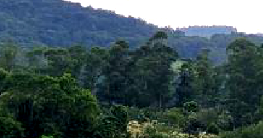 Terreno Rural com 23.982,68m² em Morro da Fumaça/SC