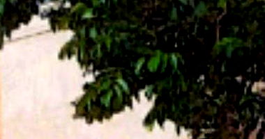 Casa com 4 baias para cavalos em Sales Oliveira