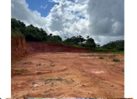 Terreno rural com 11.868,38m² em Amaraji/PE