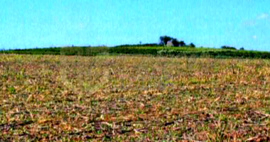 Fazenda Nossa Senhora - Alterosa (MG)