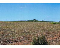 Fazenda Nossa Senhora - Alterosa (MG)