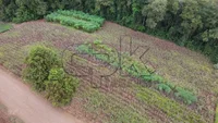 Fração de Lote Rural 38 - 3.000m² - Novo Machado/RS