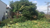 Área com 320 m² - Jardim Aclimação - Sumaré - SP