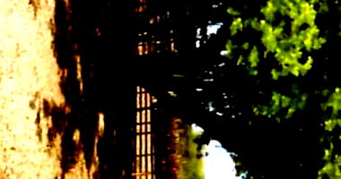 Sítio Campo Verde com 57,6 hectares e casa confortável