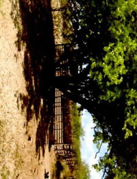 Sítio Campo Verde com 57,6 hectares e casa confortável