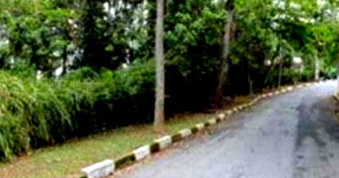 Terreno amplo 1500m² no Jardim Algarve, Cotia, desocupado