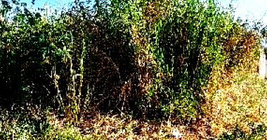 Terreno com 198,44m² em Uberaba/MG