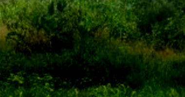 Terreno em leilão com 270m² em Itapetininga/SP