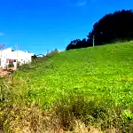 Terreno urbano de 500m² em Marau/RS