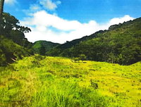 Terreno Rural com 1.536.700m² em Papanduva/SC