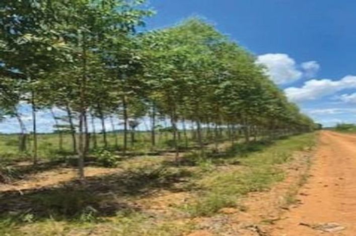 Sítio Boa Vista em Porto Velho/RO - Imóvel Rural com 98,2227 HA
