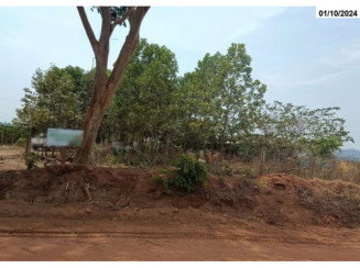 Sítio com 6,22 ha, 2 casas de madeira, pastagem e energia