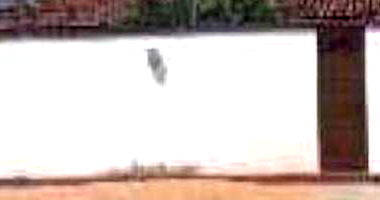 Casa em Cinturão Verde com 2 Quartos e 1 Vaga