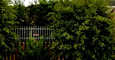 Casa com 200m² construída em terreno de 439,9m², imóvel ocupado