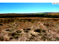 Grande Fazenda com 567 hectares em Cristalina/GO