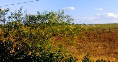 Imóvel Rural, 57.800m², Pindoba
