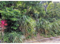 Terreno 440m² Joana D'Arc - Vitória/ES - Oportunidade Única
