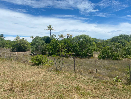 Terreno de 300m² em Loteamento com Potencial de Valorização