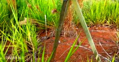 Terreno Urbano Amplo em Rio do Sul - SC