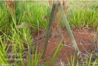 Terreno Urbano Amplo em Rio do Sul - SC