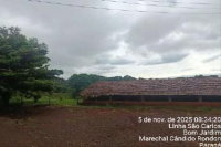 Fazenda com 26,50ha, casa sede e galpões em Marechal Cândido Rondon