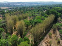 Área Rural com 42.350m², desocupada, ideal para investimento