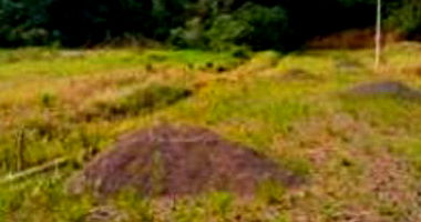 Lote Urbano com Área Total de 412,25m² em Seberi/RS