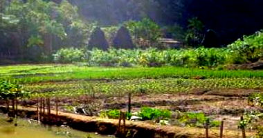 Imóvel Rural com 127.551m² em Miracatu/SP