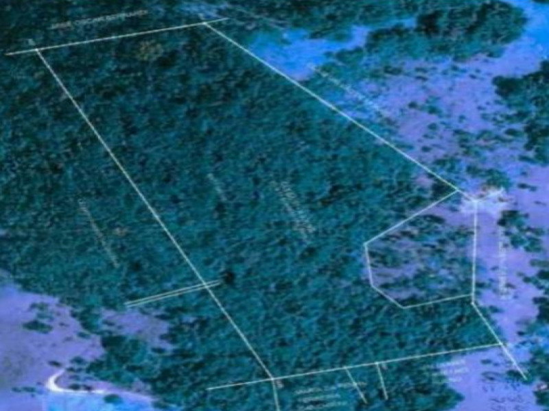 Chácara Rural Ocupada com 8,03 ha