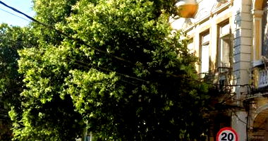 Prédio Residencial em Glória com 40% de Avaliação