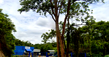 Área Industrial com 16.000 m² em Barão de Cocais/MG