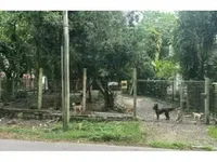 Casa ocupada com 94,60m² construídos